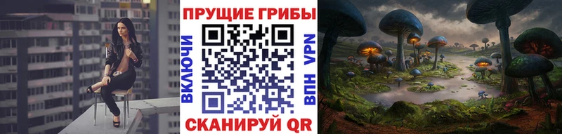 Псилоцибиновые грибы MAGIC MUSHROOMS  купить   Усолье-Сибирское 